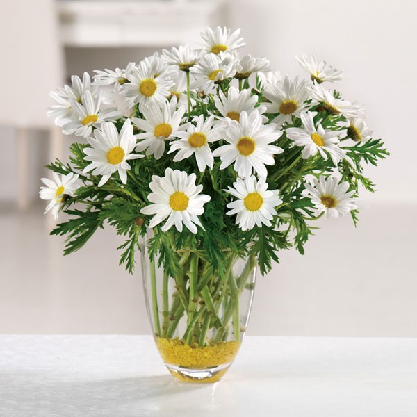 everyday flowers everyday flowers
