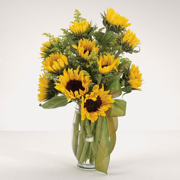 everyday flowers everyday flowers