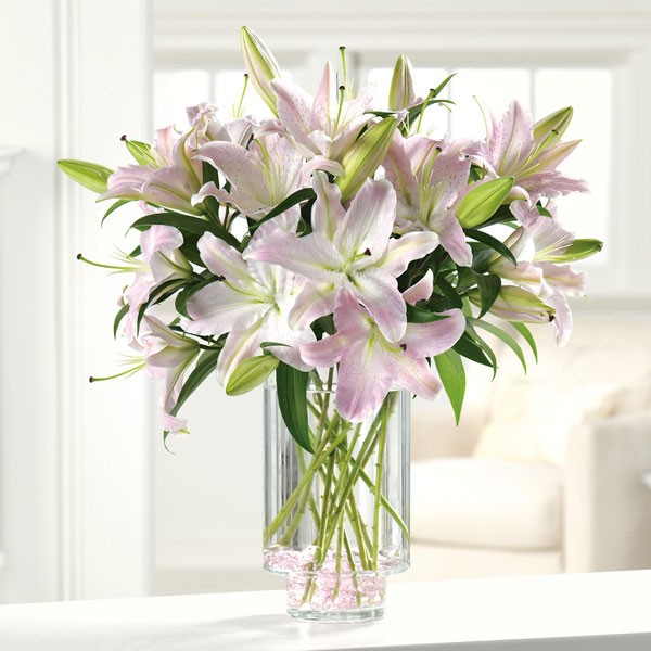 everyday flowers everyday flowers