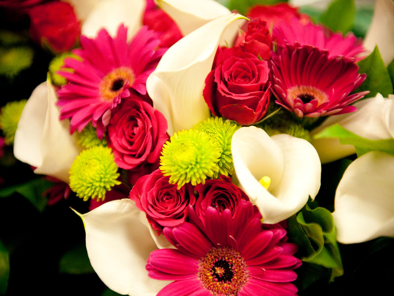 Wedding Flowers- Bridal Bouquet Wedding Flowers- Bridal Bouquet