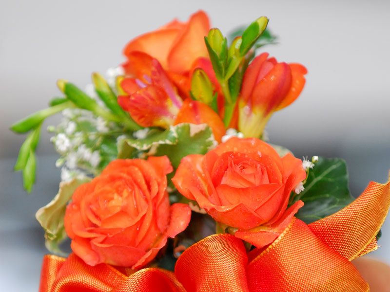 Boutonniere Boutonniere