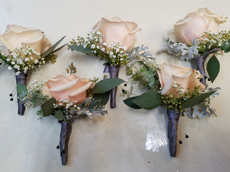 Boutonnieres- Pink Roses- Wedding Flowers Boutonnieres- Pink Roses- Wedding Flowers